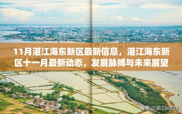 湛江海東新區(qū)十一月最新動態(tài)，發(fā)展脈搏、未來展望與最新信息速遞