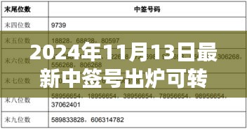 揭秘，2024年最新可轉(zhuǎn)債中簽號出爐背后的影響與時代地位分析