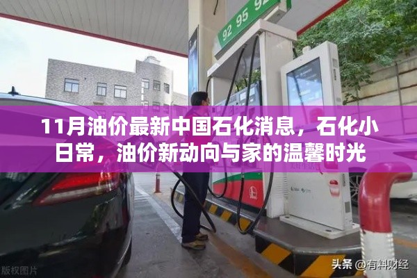 中國石化油價最新動態(tài)，日常石化生活與油價新動向的溫馨時光