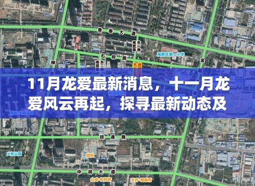 十一月龍愛風云再起，最新動態(tài)與時代地位探尋