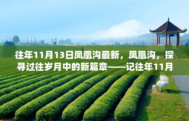 鳳凰溝探尋歲月變遷，往年11月13日的最新篇章