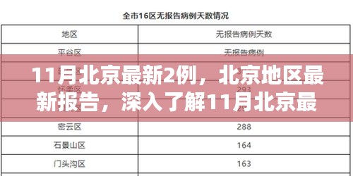 北京地區(qū)最新報(bào)告，深入了解11月新增兩例的產(chǎn)品特性與體驗(yàn)