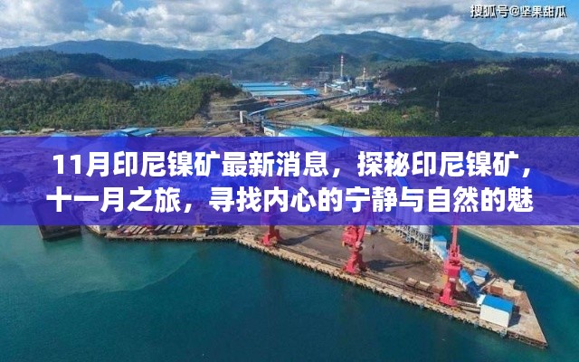 探秘印尼鎳礦，十一月之旅，與自然共舞，追尋內(nèi)心寧靜的魅力