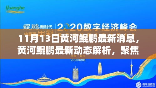 黃河鯤鵬最新動(dòng)態(tài)解析，聚焦觀點(diǎn)與理由