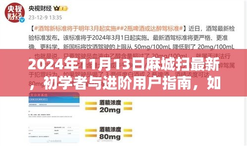 麻城掃最新技能指南，初學(xué)者與進(jìn)階用戶如何掌握