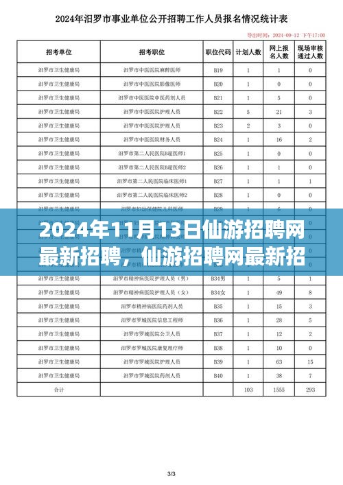 2024年11月13日仙游招聘網(wǎng)最新動態(tài)，聚焦人才市場熱點