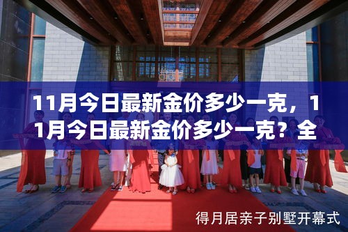 最新金價(jià)解析，11月黃金市場走勢及每克最新價(jià)格