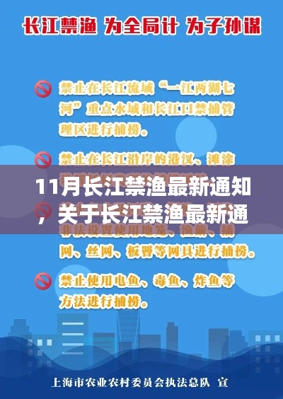長(zhǎng)江禁漁最新通知執(zhí)行步驟指南，初學(xué)者與進(jìn)階用戶操作手冊(cè)