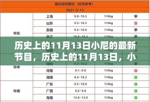 小尼最新節(jié)目深度解析，歷史上的十一月十三日