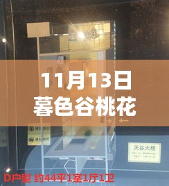 暮色谷桃花源最新動態(tài)深度解析，某某觀點揭秘與最新進(jìn)展