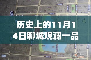 聊城觀瀾一品揭秘之旅，11月14日最新動態(tài)探秘隱藏小巷