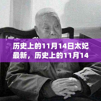 歷史上的11月14日太妃傳奇，最新解讀與影響全解析