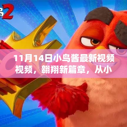 小鳥醬翱翔新篇章，學(xué)習(xí)變化的力量揭秘視頻首曝