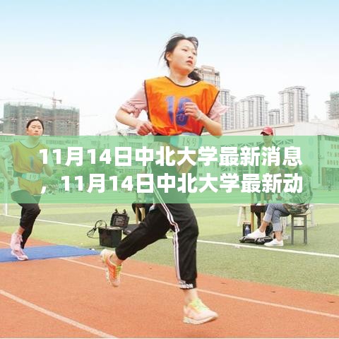11月14日中北大學最新消息與動態(tài)速遞，校園熱點一覽