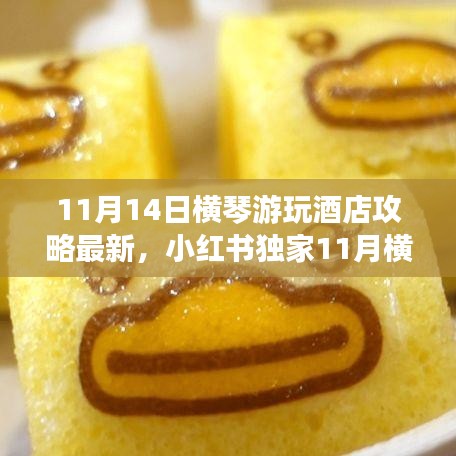 11月橫琴游玩酒店最新攻略，小紅書(shū)獨(dú)家指南，暢游無(wú)憂住宿體驗(yàn)
