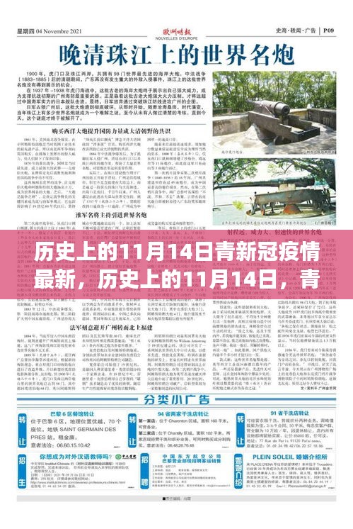 歷史上的11月14日，青新冠疫情最新進(jìn)展及其社會反響與觀點(diǎn)碰撞