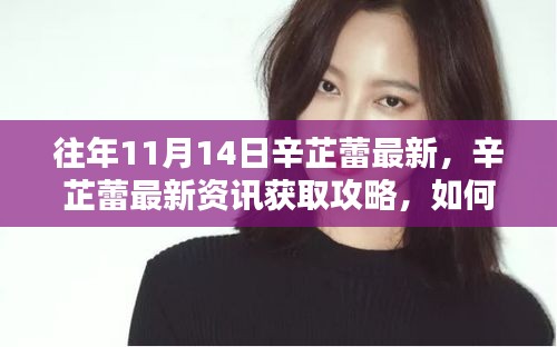 掌握往年11月14日辛芷蕾最新動態(tài)，資訊獲取攻略
