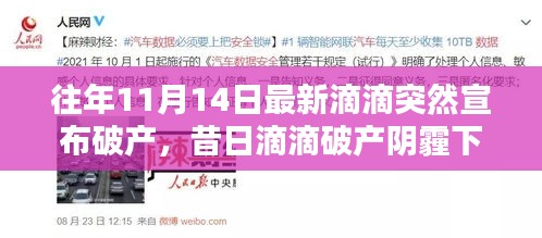 昔日滴滴破產(chǎn)陰霾下，自然綠洲的心靈庇護所