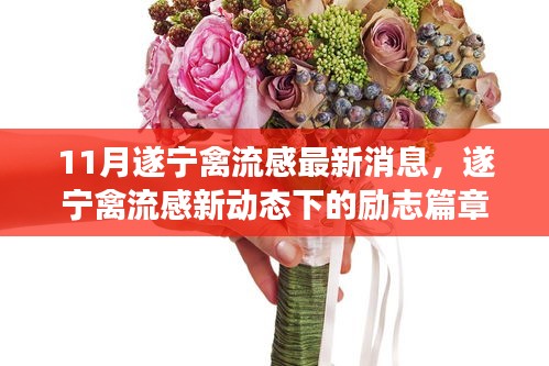 遂寧禽流感最新動態(tài)下的勵志篇章，變化中的學(xué)習(xí)成就自信之源