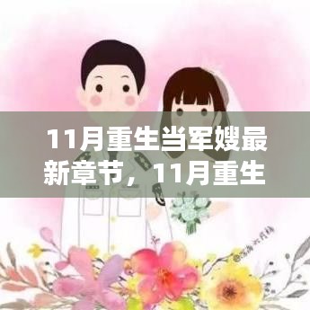 最新章節(jié)揭秘，重生軍嫂的傳奇故事與深度測(cè)評(píng)介紹