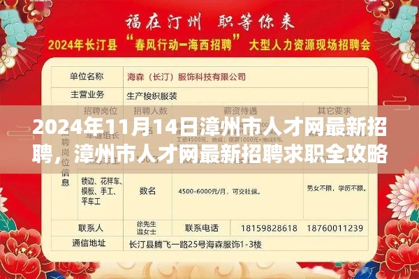 漳州市人才網(wǎng)最新招聘求職攻略，成功應(yīng)聘心儀職位全解析（2024年11月）