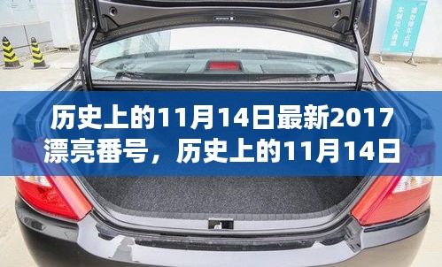 歷史上的11月14日最新2017漂亮番號，歷史上的11月14日，探尋那些閃耀的瞬間與美好記憶??