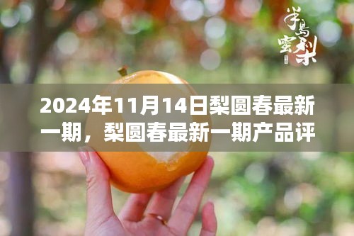 梨圓春產(chǎn)品評測報告，特性、體驗、對比與用戶需求深度解析