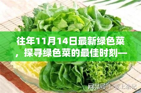 探尋綠色菜的最佳時刻，以往年11月14日為例的蔬菜盛宴