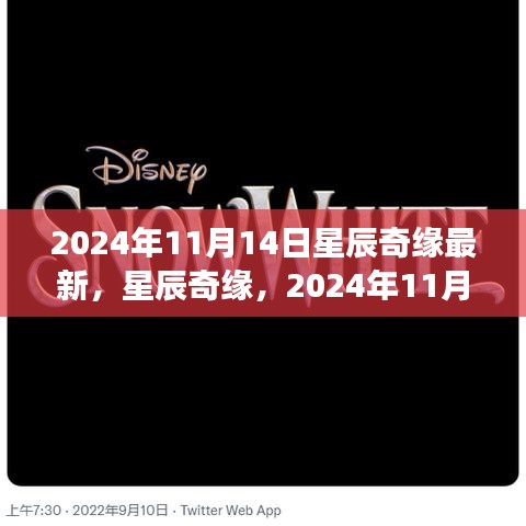 星辰奇緣夢幻邂逅，2024年11月14日星辰大海的最新揭秘