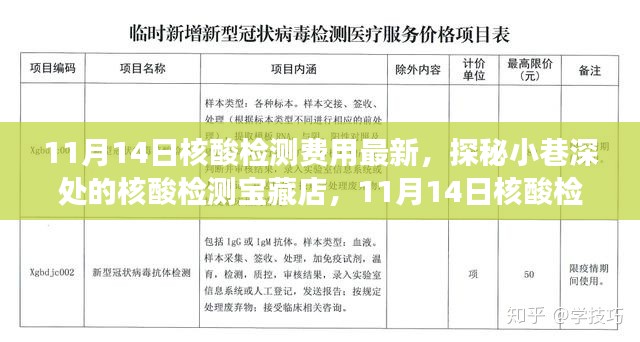 探秘核酸檢測(cè)寶藏店，揭秘最新核酸檢測(cè)費(fèi)用新鮮事（11月14日更新）