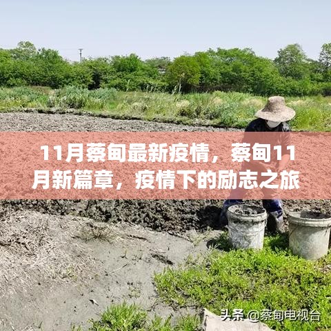 蔡甸11月疫情新篇章，勵志之旅展現(xiàn)自信與成就之光