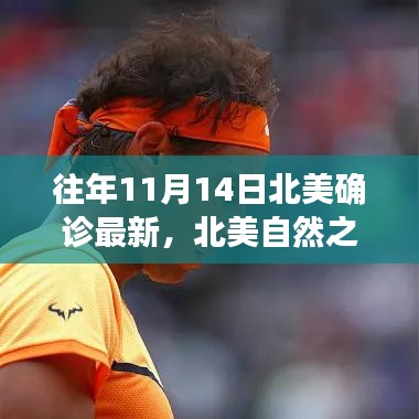 北美自然之旅，探尋美景與內(nèi)心寧?kù)o的旅程，歷年北美確診最新資訊回顧
