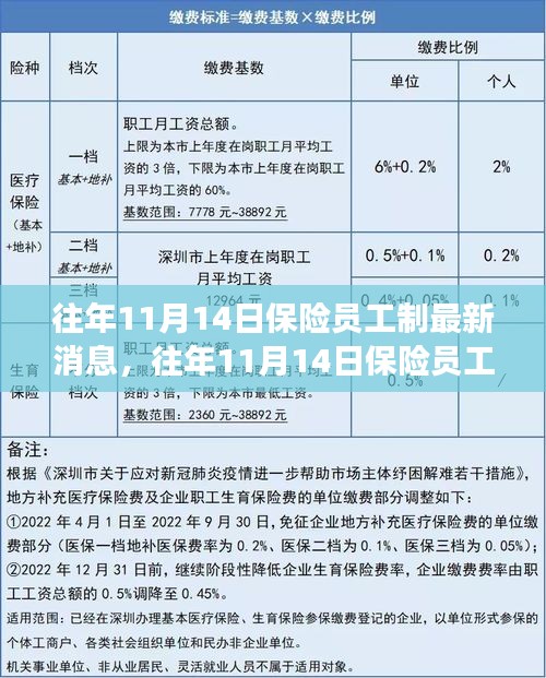 三大要點深度解讀，往年11月14日保險員工制最新消息與更新解讀