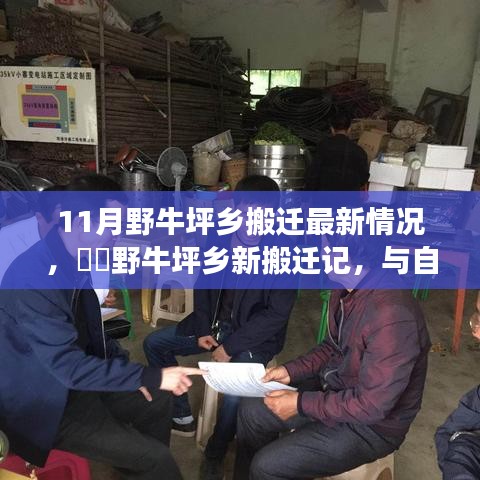 野牛坪鄉(xiāng)搬遷最新動(dòng)態(tài)，與自然共舞的新生活啟程