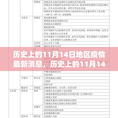 歷史上的11月14日全球疫情進展與地區(qū)動態(tài)分析，最新消息及進展概述