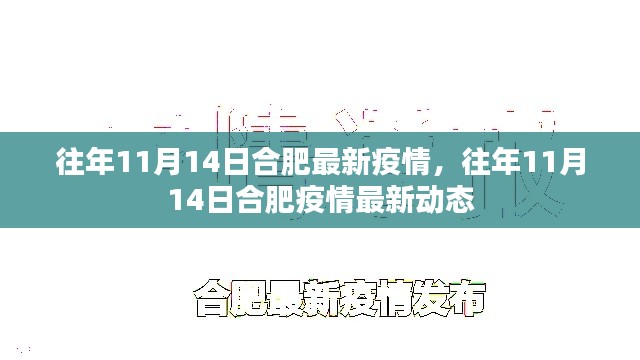 往年11月14日合肥疫情最新動態(tài)及防疫情況概述