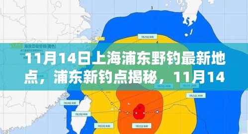 探尋自然之魚的樂園，上海浦東新釣點(diǎn)揭秘與垂釣盛宴（11月14日）