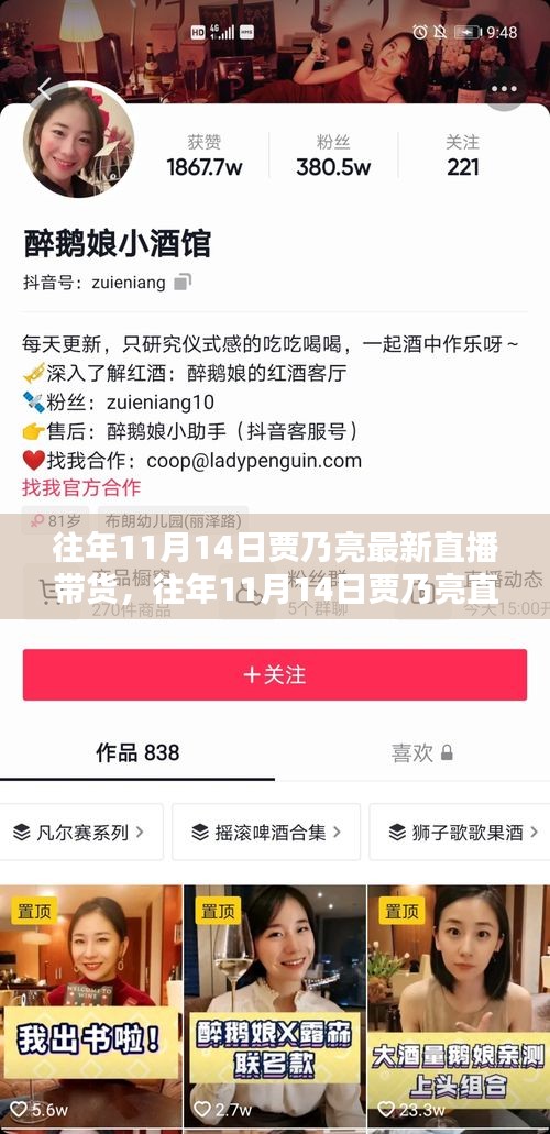 賈乃亮直播帶貨回顧，全面評(píng)測與介紹，歷年雙十一直播帶貨新動(dòng)態(tài)