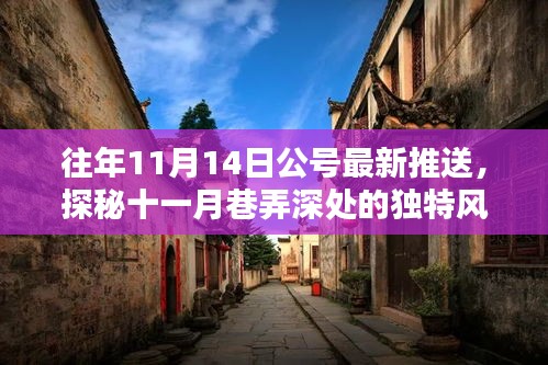 揭秘十一月巷弄深處的隱藏特色小店，獨特風味揭曉日