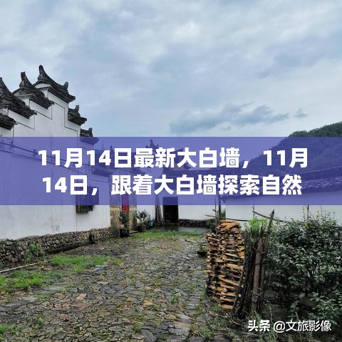 11月14日大白墻引領(lǐng)自然秘境之旅，探索內(nèi)心寧?kù)o與平和的奧秘