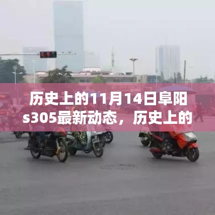 歷史上的11月14日阜陽(yáng)S305最新動(dòng)態(tài)深度解析，聚焦三大要點(diǎn)揭秘最新進(jìn)展與動(dòng)態(tài)更新