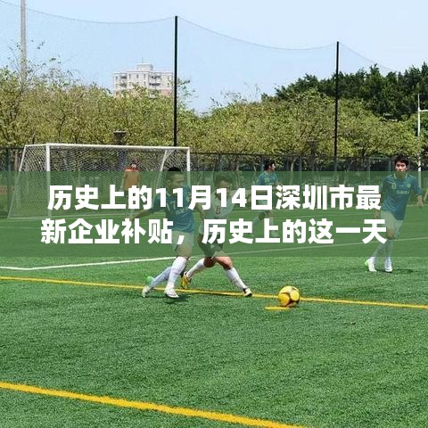 歷史上的11月14日深圳市新企業(yè)補(bǔ)貼政策回顧，影響與展望