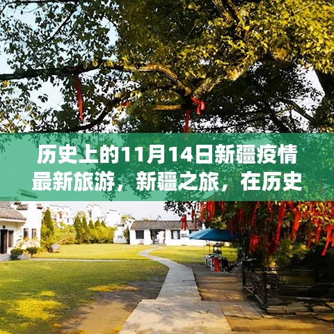 歷史的11月14日，新疆疫情最新旅游動(dòng)態(tài)與心靈之旅的寧?kù)o與奇跡探尋