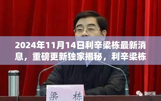 獨(dú)家揭秘，利辛梁棟最新動(dòng)態(tài)與消息重磅更新，2024年11月14日最新進(jìn)展揭秘。