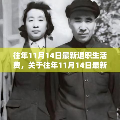 往年11月14日退職生活費(fèi)調(diào)整解讀與展望，最新政策分析與生活費(fèi)趨勢展望