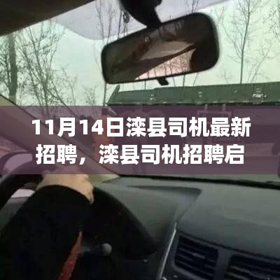 11月14日灤縣司機(jī)招聘啟事，最新職位空缺，開啟職業(yè)新征程