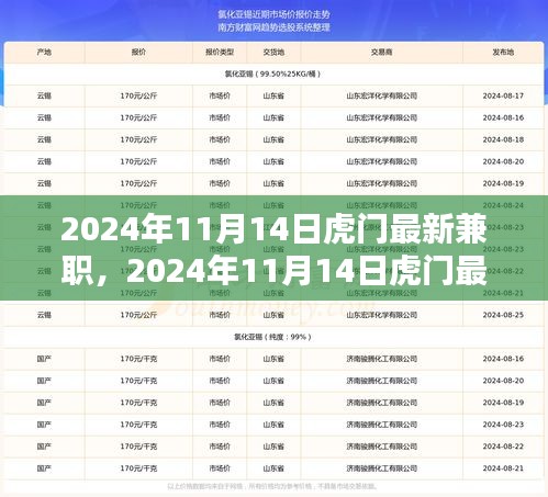 2024年11月14日虎門最新兼職，機(jī)遇與挑戰(zhàn)并存