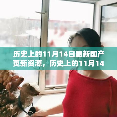 探尋國(guó)產(chǎn)資源更新足跡，歷史上的11月14日最新資源揭秘