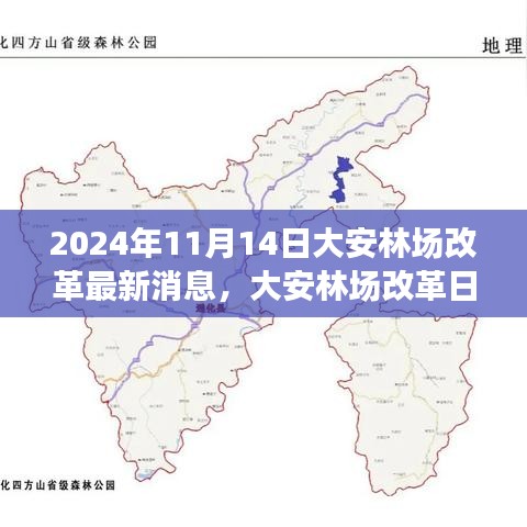 大安林場改革故事會(huì)，最新消息與溫馨改革之旅（2024年11月14日）
