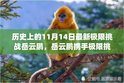 岳云鵬揭秘科技新紀(jì)元，極限挑戰(zhàn)攜手超燃高科技產(chǎn)品震撼登場（11月14日）